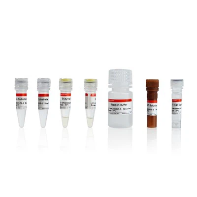 LDH Cytotoxicitet Analys Kit