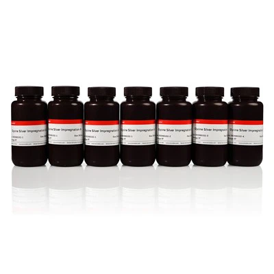 Silver Glycinfärgningskit